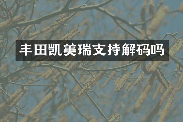 丰田凯美瑞支持解码吗
