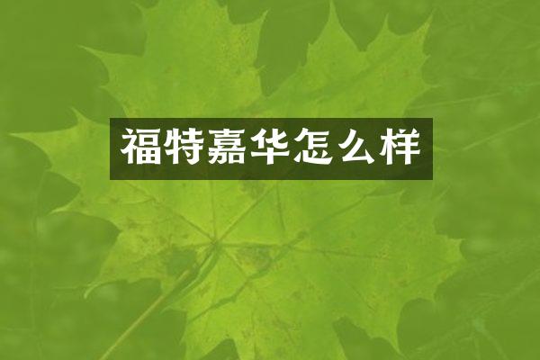 福特嘉华怎么样