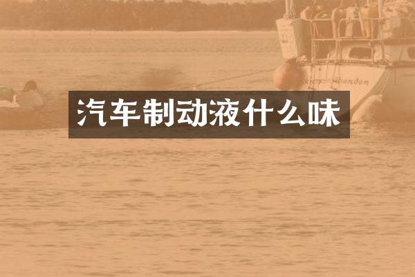 汽车制动液什么味