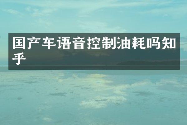 国产车语音控制油耗吗知乎