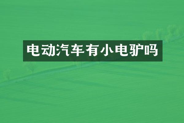 电动汽车有小电驴吗