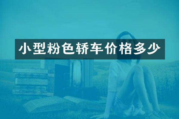 小型粉色轿车价格多少
