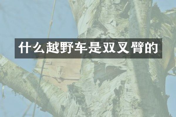 什么越野车是双叉臂的
