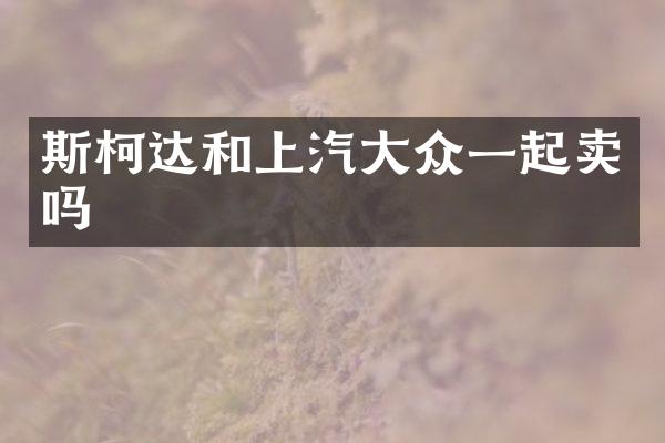 斯柯达和上汽大众一起卖吗