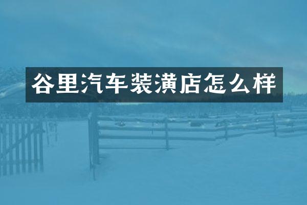 谷里汽车装潢店怎么样