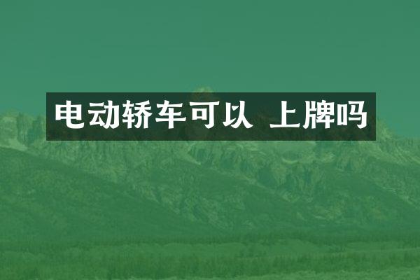 电动轿车可以 上牌吗