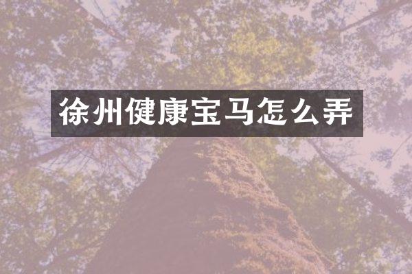 徐州健康宝马怎么弄