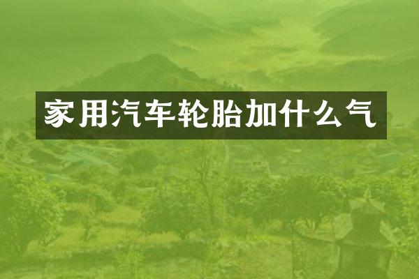 家用汽车轮胎加什么气