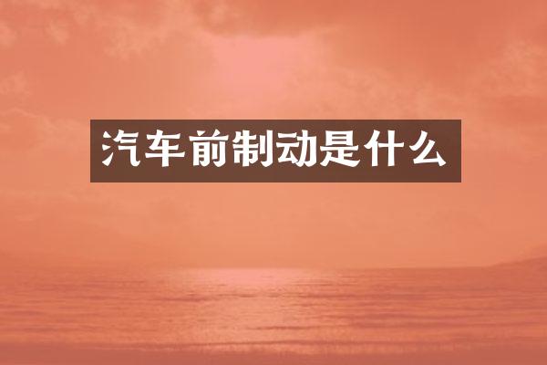 汽车前制动是什么