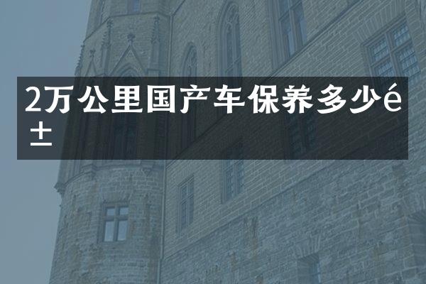 2万公里国产车保养多少钱