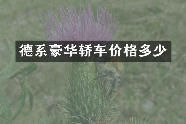 德系豪华轿车价格多少