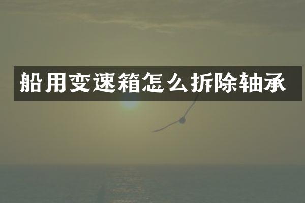 船用变速箱怎么拆除轴承