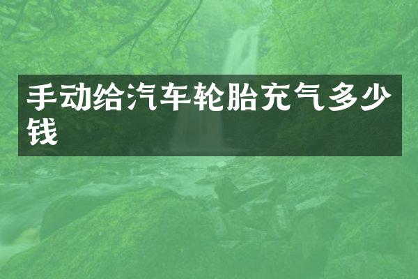 手动给汽车轮胎充气多少钱