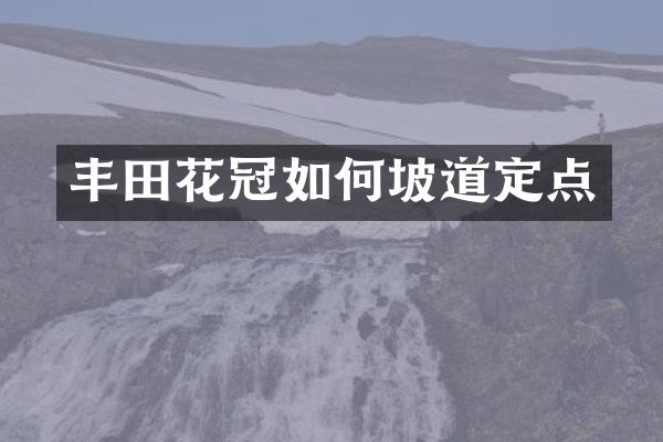 丰田花冠如何坡道定点