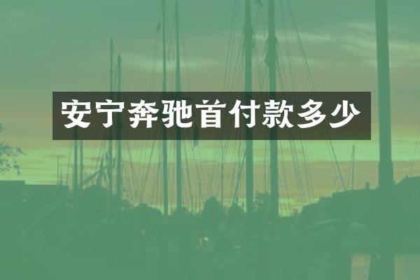 安宁奔驰首付款多少