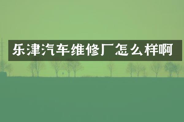 乐津汽车维修厂怎么样啊