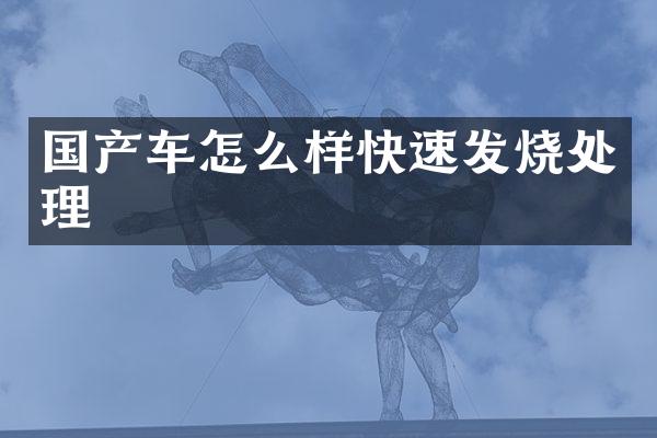 国产车怎么样快速发烧处理