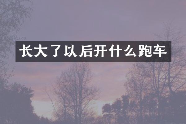 长大了以后开什么跑车