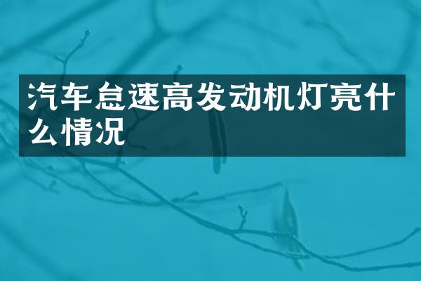 汽车怠速高发动机灯亮什么情况