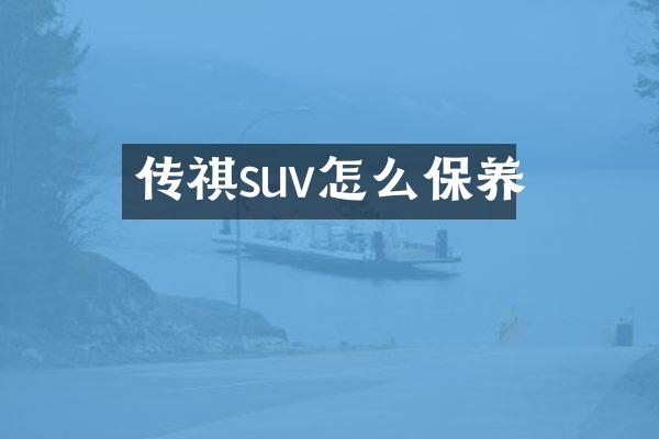 传祺suv怎么保养