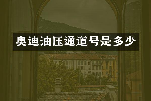 奥迪油压通道号是多少