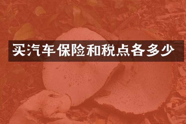买汽车保险和税点各多少
