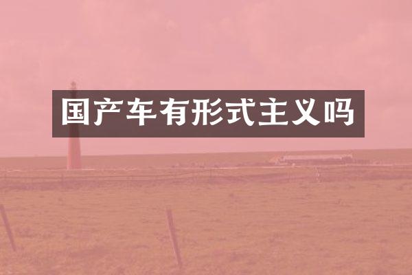 国产车有形式主义吗