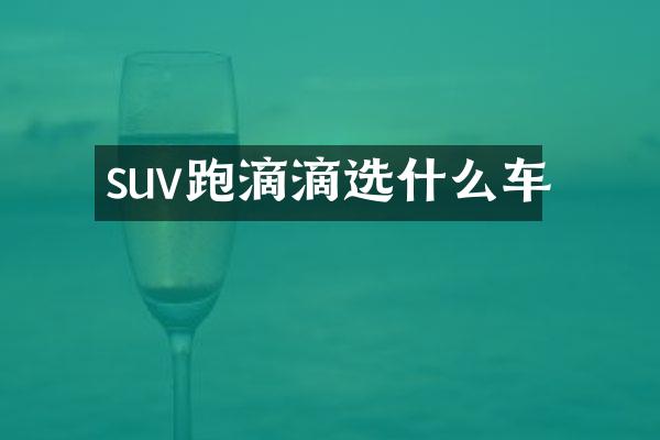 suv跑滴滴选什么车