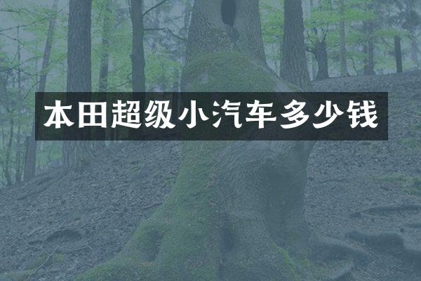 本田超级小汽车多少钱