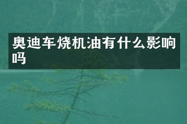 奥迪车烧机油有什么影响吗