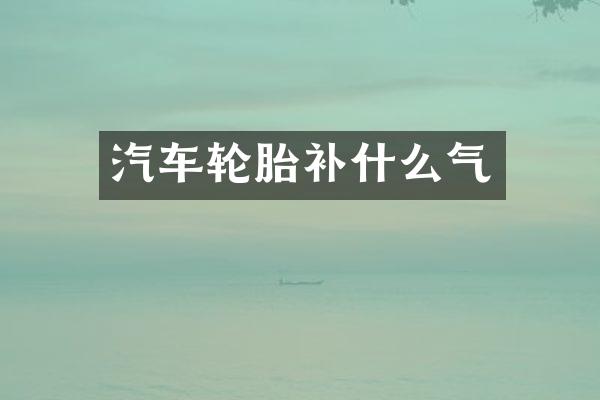 汽车轮胎补什么气