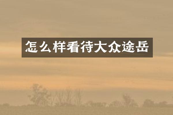 怎么样看待大众途岳