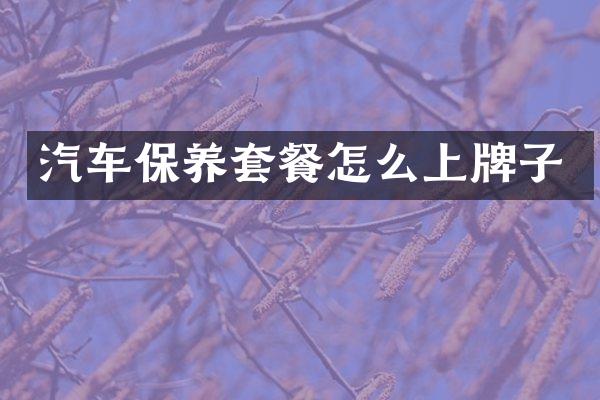 汽车保养套餐怎么上牌子