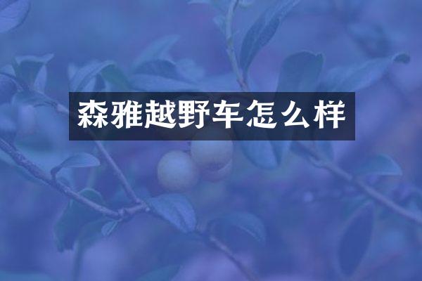 森雅越野车怎么样