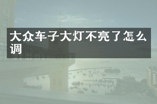 大众车子大灯不亮了怎么调