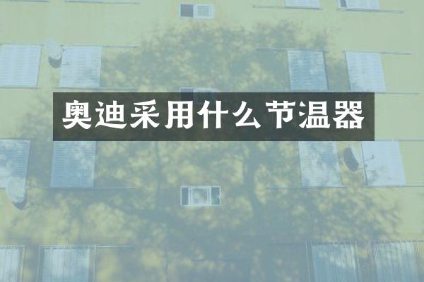 奥迪采用什么节温器