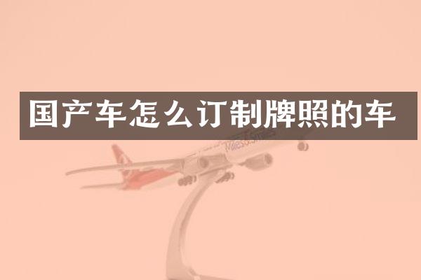 国产车怎么订制牌照的车