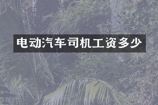 电动汽车司机工资多少