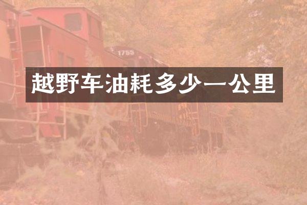 越野车油耗多少一公里