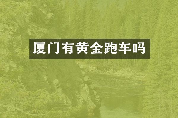 厦门有黄金跑车吗