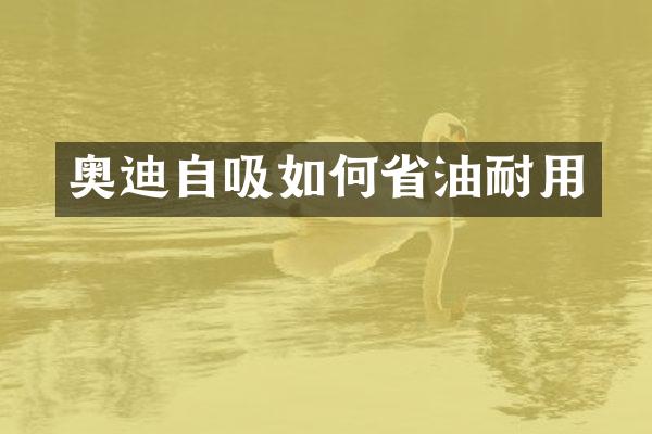 奥迪自吸如何省油耐用