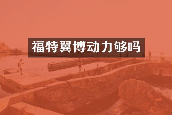 福特翼博动力够吗