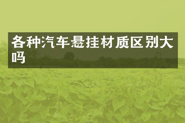 各种汽车悬挂材质区别大吗