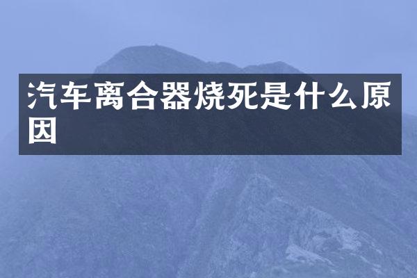 汽车离合器烧死是什么原因