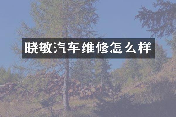 晓敏汽车维修怎么样