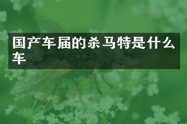 国产车届的杀马特是什么车
