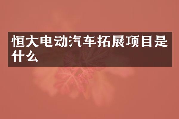 恒大电动汽车拓展项目是什么
