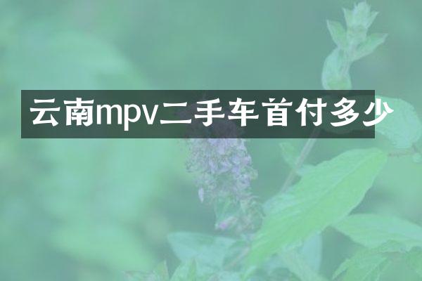云南mpv二手车首付多少