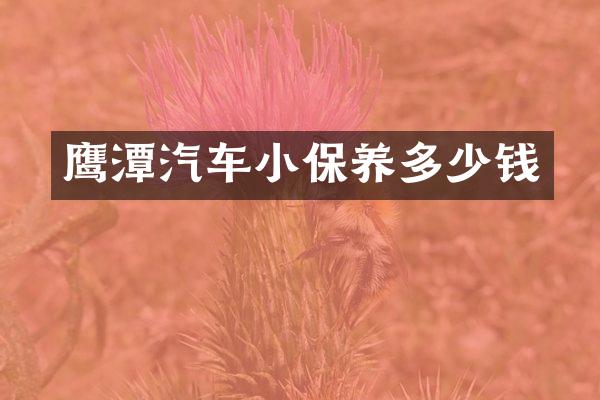 鹰潭汽车小保养多少钱