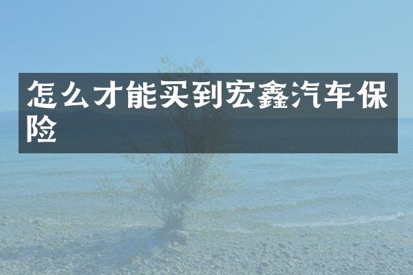 怎么才能买到宏鑫汽车保险